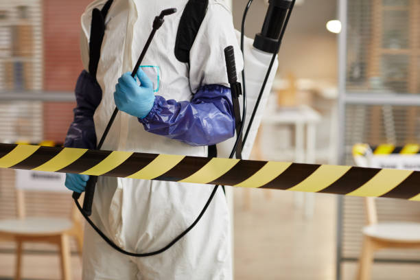 Professional Biohazard Cleanup technician working in Seymour, TX